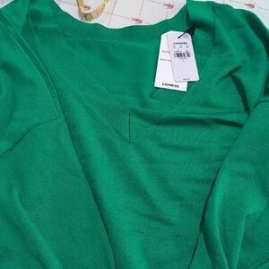 Express Women's Vibrant Green V-Neck Sweater